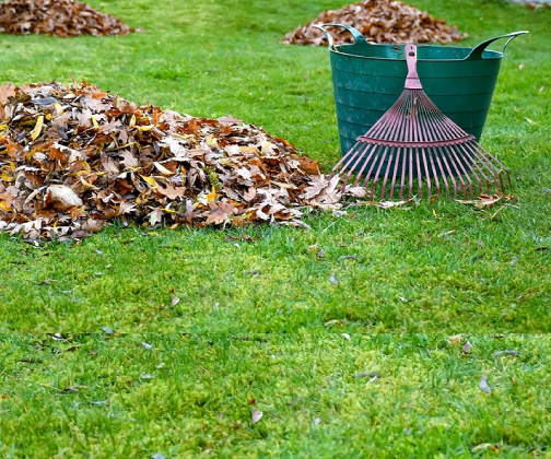 Give Your Yard a Clean, Crisp Fall Finish